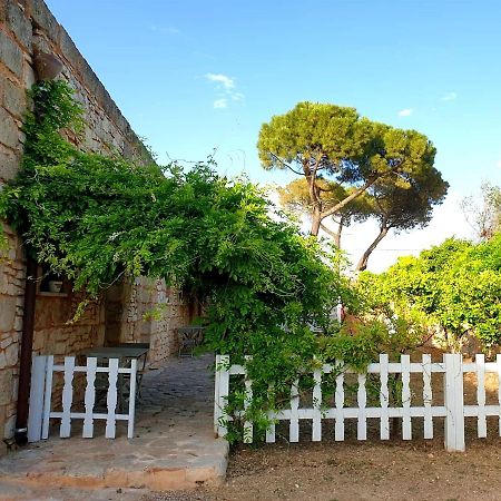 Masseria Triticum Francavilla Fontana Εξωτερικό φωτογραφία